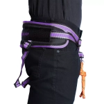 Пояс для каникросса в комплекте с потягом White Wolf серия Спорт