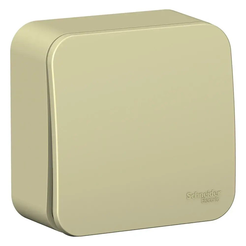 BLANCA О/У 1-клавишный ПЕРЕКЛЮЧАТЕЛЬ (сх.6) ИЗОЛ.ПЛ, 10А, 250В, БЕЖЕВЫЙ