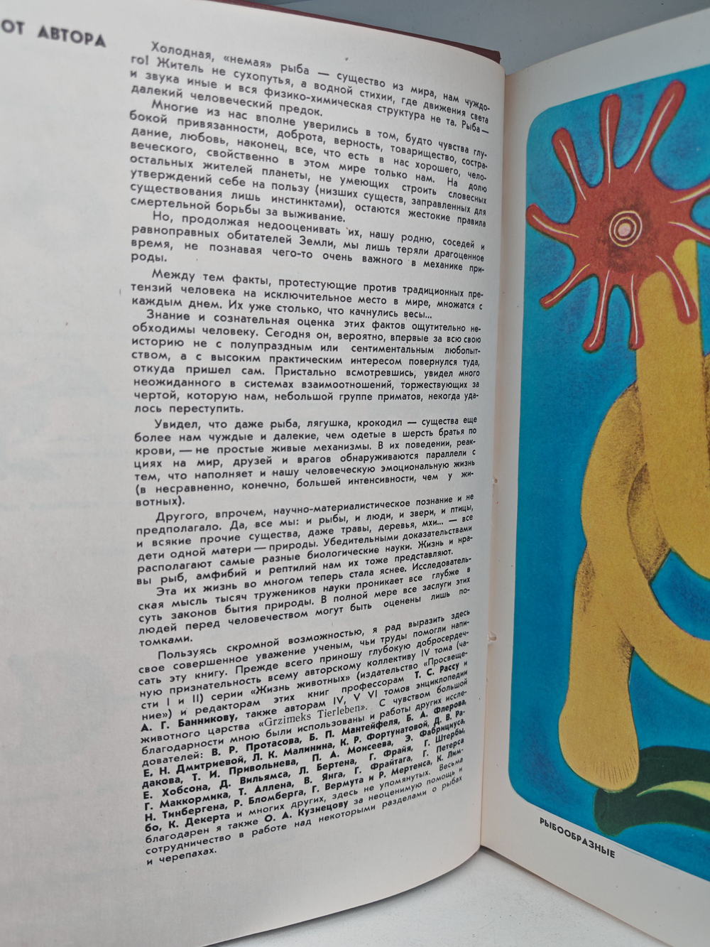 Мир животных. Рассказы о змеях, крокодилах, черепахах, лягушках, рыб