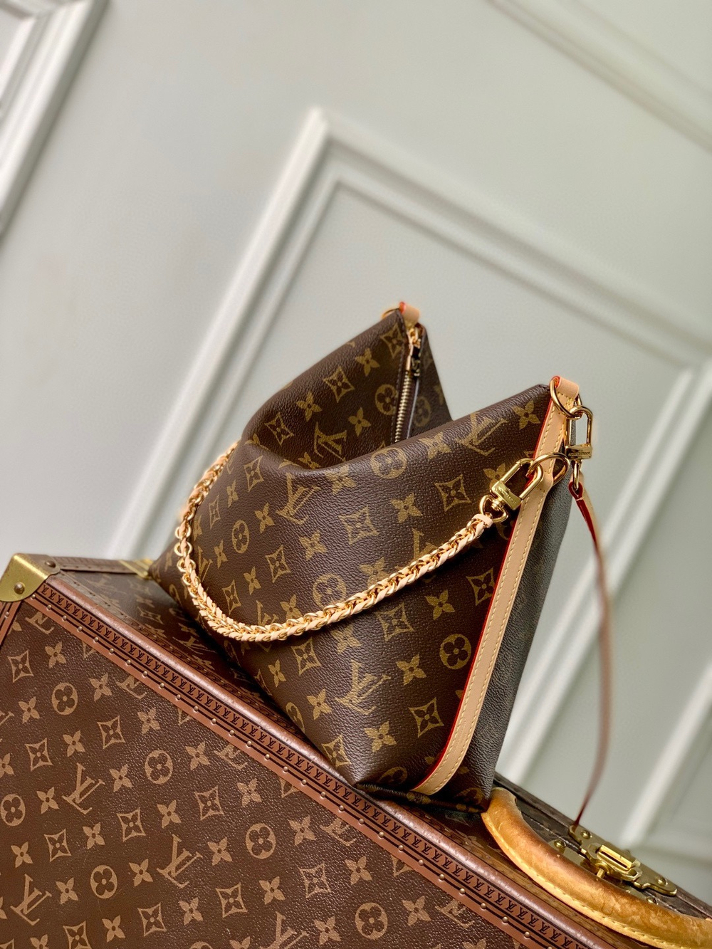 Louis Vuitton Multipass
