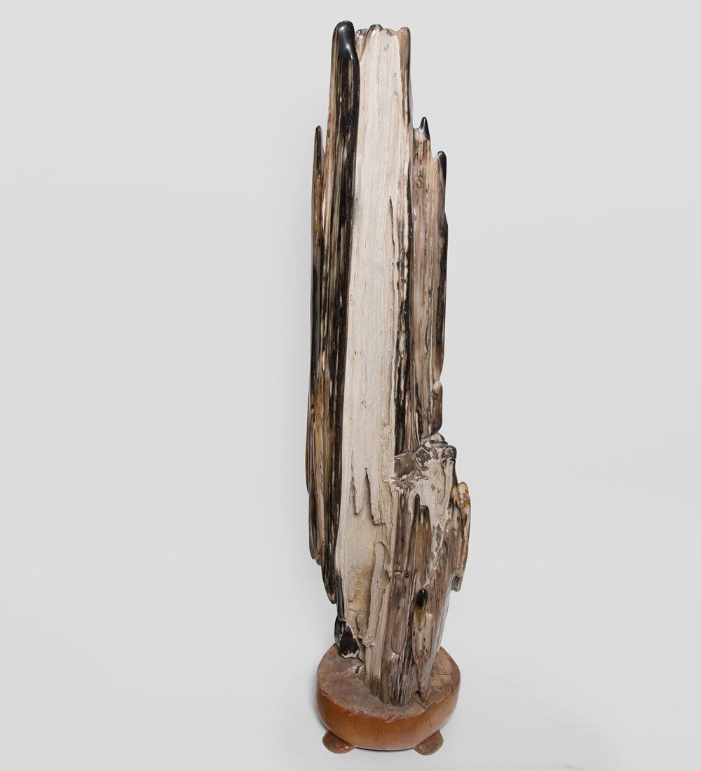 TB639 Камень древесный «Ровесник динозавра» 59 кг