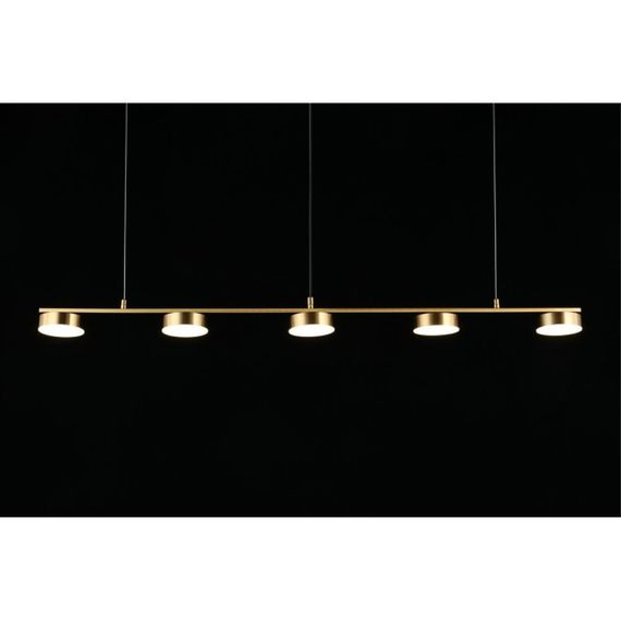 Подвесная светодиодная люстра Aployt Usia APL.047.13.35