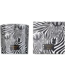 Zebra, свеча Jungletopia collection, Vila Hermanos