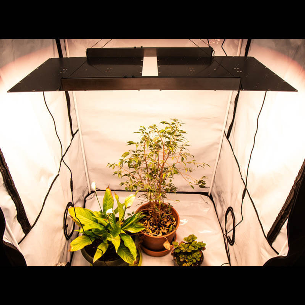 Quantum board Samsung 480W (4x120W)