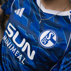 Шальке 04 / Домашняя