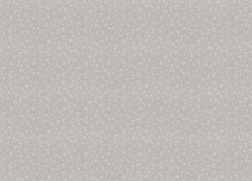 Альгеро
