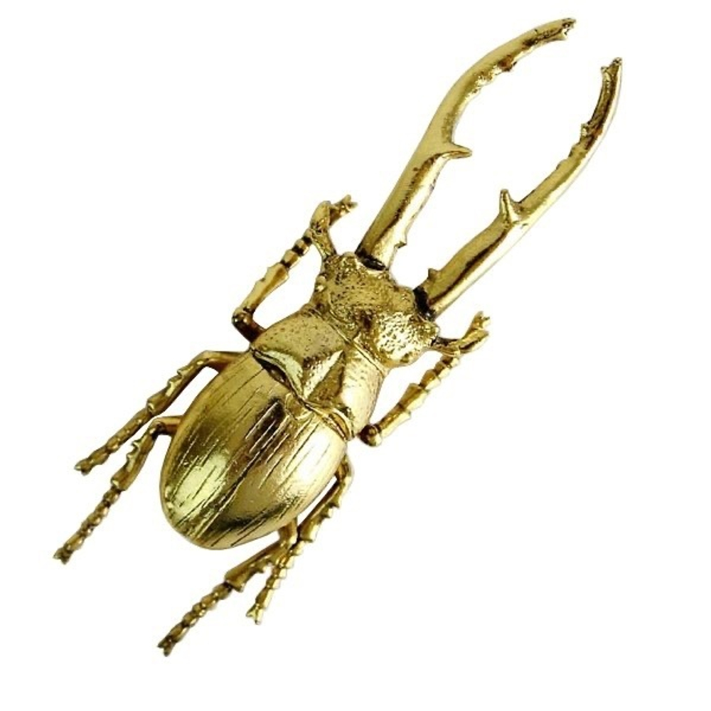 Жук-скарабей