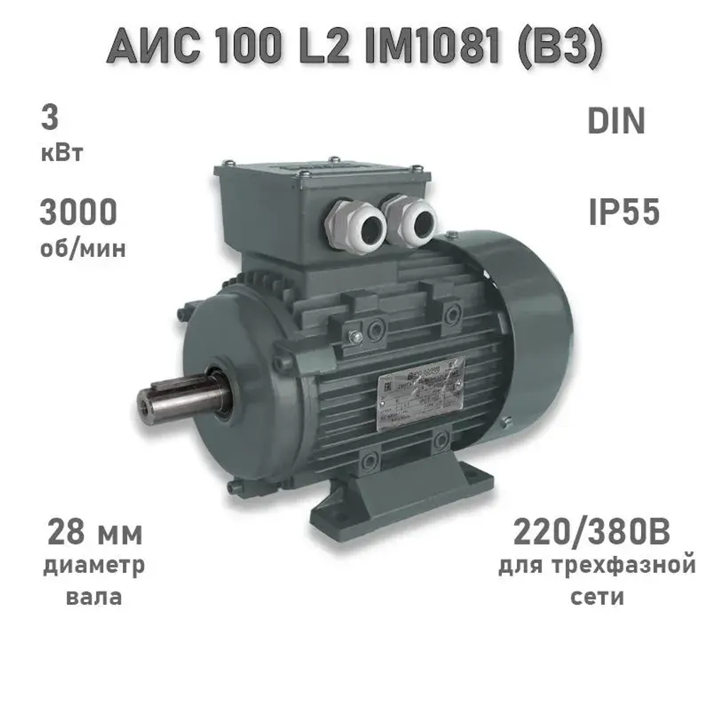 Электродвигатель ЭЛМАШ АИС 100 L2 IM1081 (B3) AL (3 кВт 3000 об/мин)