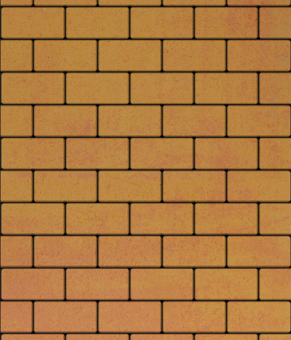 Тротуарная плитка ВЫБОР, форма Прямоугольник 100*200, h=80мм