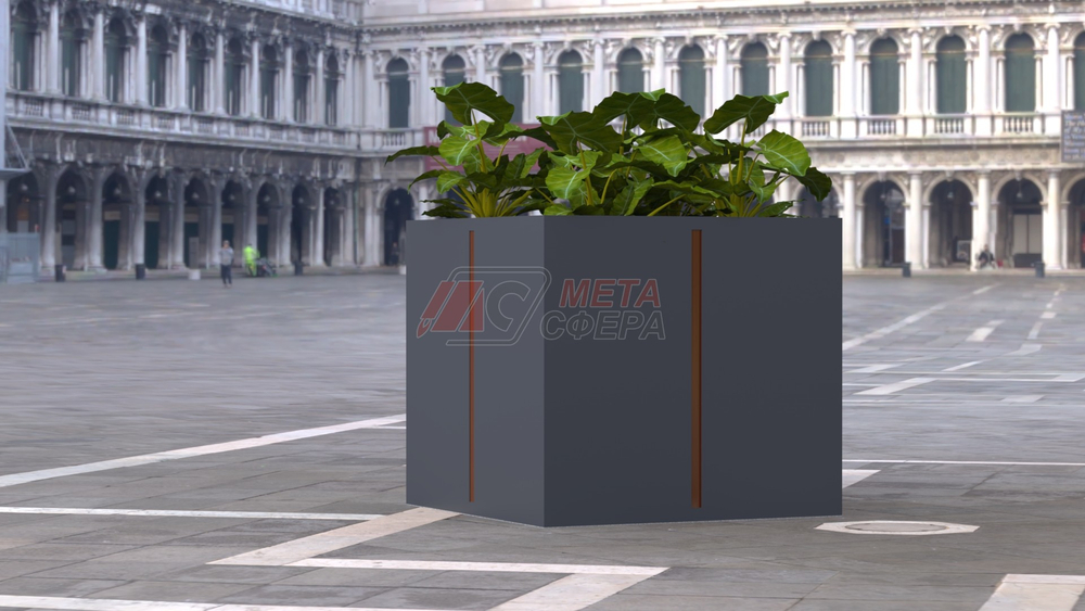 Вазон Агава