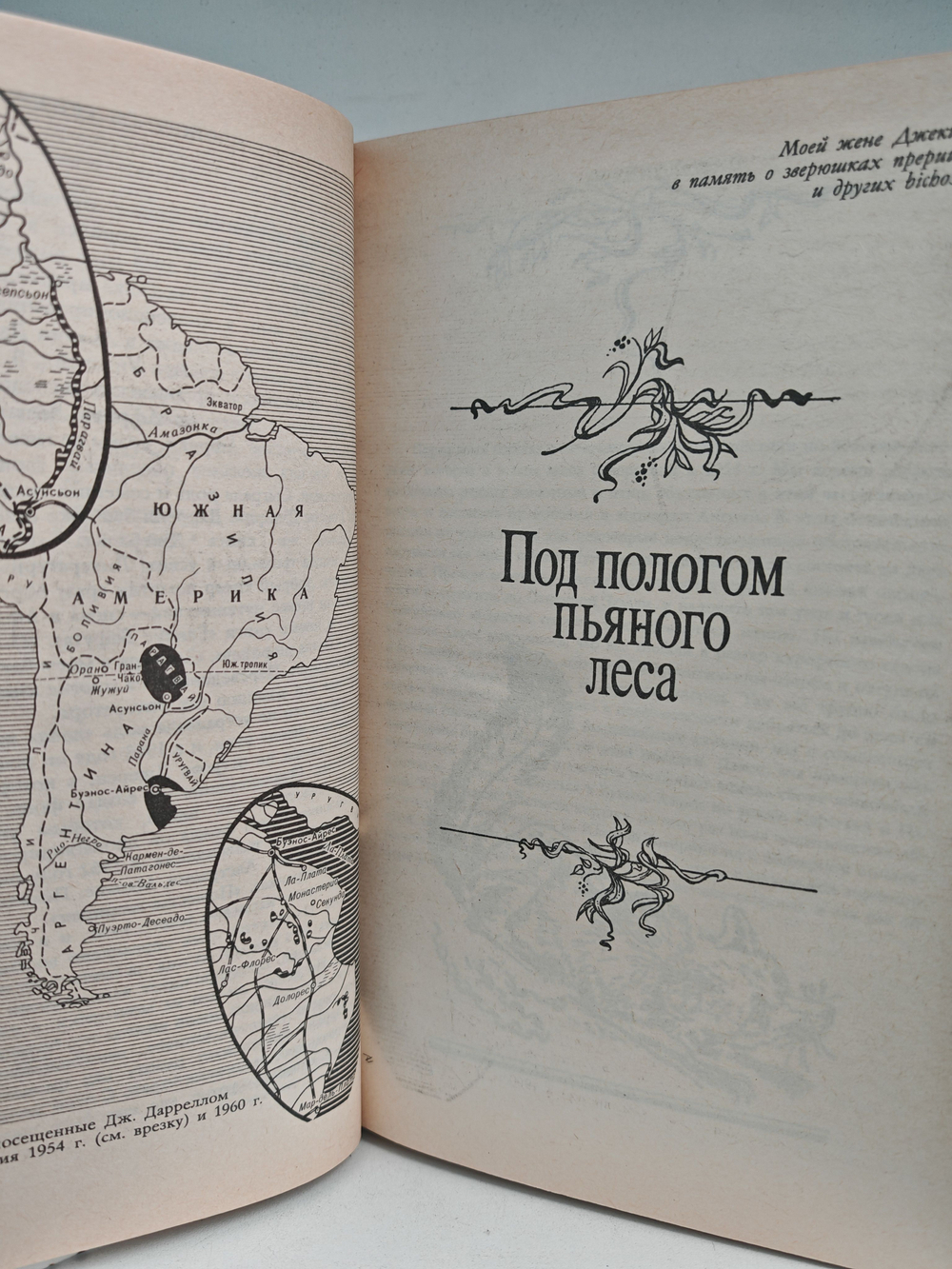 Под пологом пьяного леса