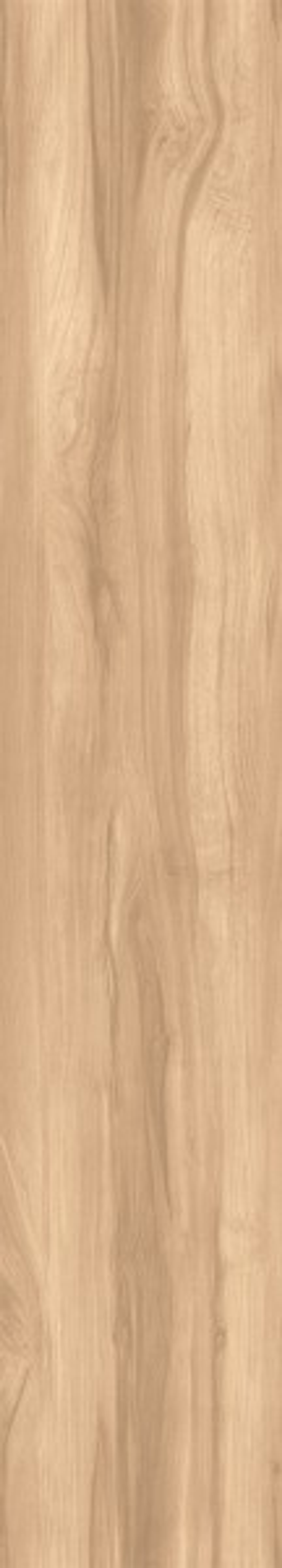 FOSSIL WOOD BRICH CW-RT09-B