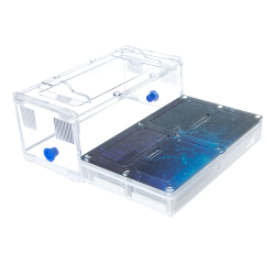 муравьиная ферма 4ants