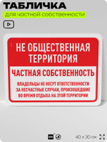 Табличка для частной территории "Не общественная территория, частная собственность", на дом, для участка, организаций, предупреждающая, 40х30 см, Silver Plane x Айдентика Технолоджи
