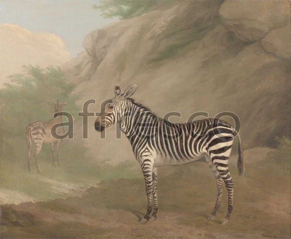 Фреска Jacques Laurent, Agasse Zebra