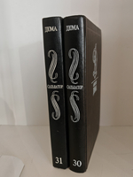 Александр Дюма. Собрание сочинений в 35 томах. Том 30-31. Сальватор (комплект из 2 книг)