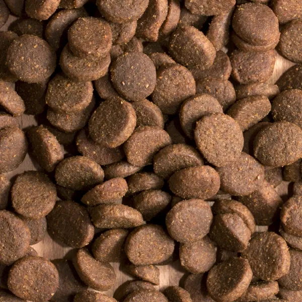 Сухой корм ProBalance Immuno Adult Maxi для взрослых собак крупных пород