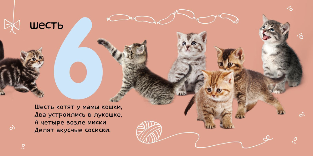 Числа. Солнечная фото-книга (переиздание)