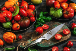 Нож кухонный универсальный 16.9см Samura Alfa