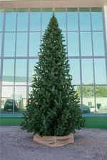 Большая елка «Рублевская» (пвх) 3 м