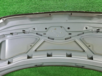 Капот VW Transporter T6 (2015-н.в.) (В пленке)