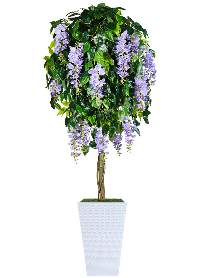 Искусственное дерево Глициния сиреневая 180см в высоком белом кашпо ротанг