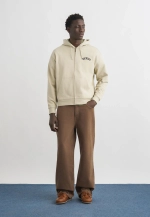 Худи Dickies BETTSVILLE - eucalyptus