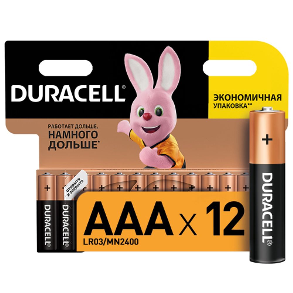 Duracell LR03-12BL BASIC NEW | Батарейки Щелочные (Алкалиновые)