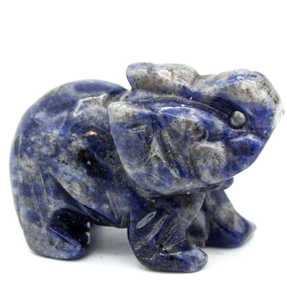 Слон содалит асс.