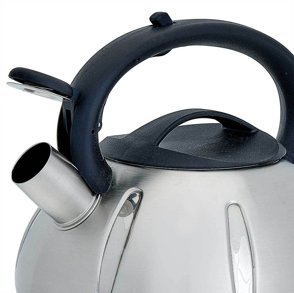 Чайник со свистком 3 л из нержавеющей стали, индукционное дно WEBBER BE-0569/1 сатин, черный