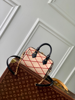 Louis Vuitton Speedy 20