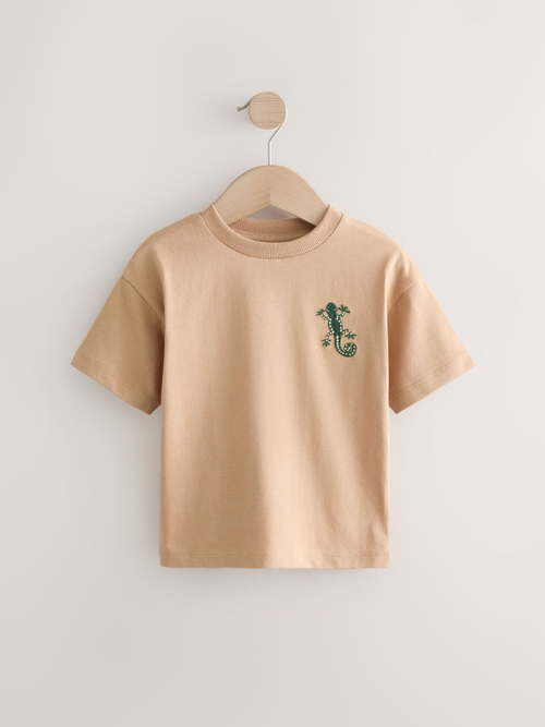 Футболка для мальчика Next E63-183, 5 шт., Песочный, Красный, Синий