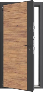 Входная дверь Alfa 2P 6.1