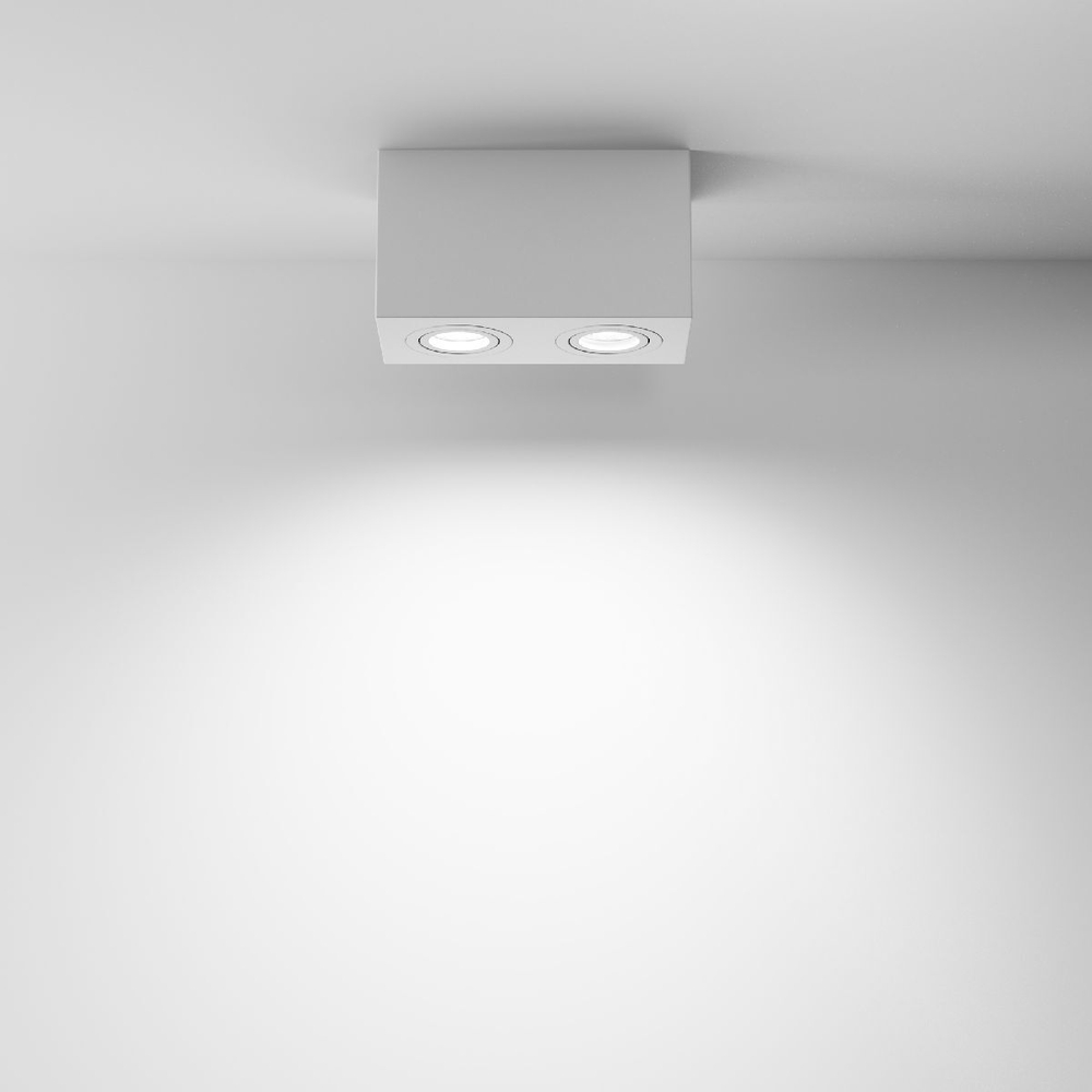 Накладной светильник Maytoni Technical C017CL-02W