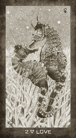 New Era Elements Tarot / Таро Элементы Новой Эры