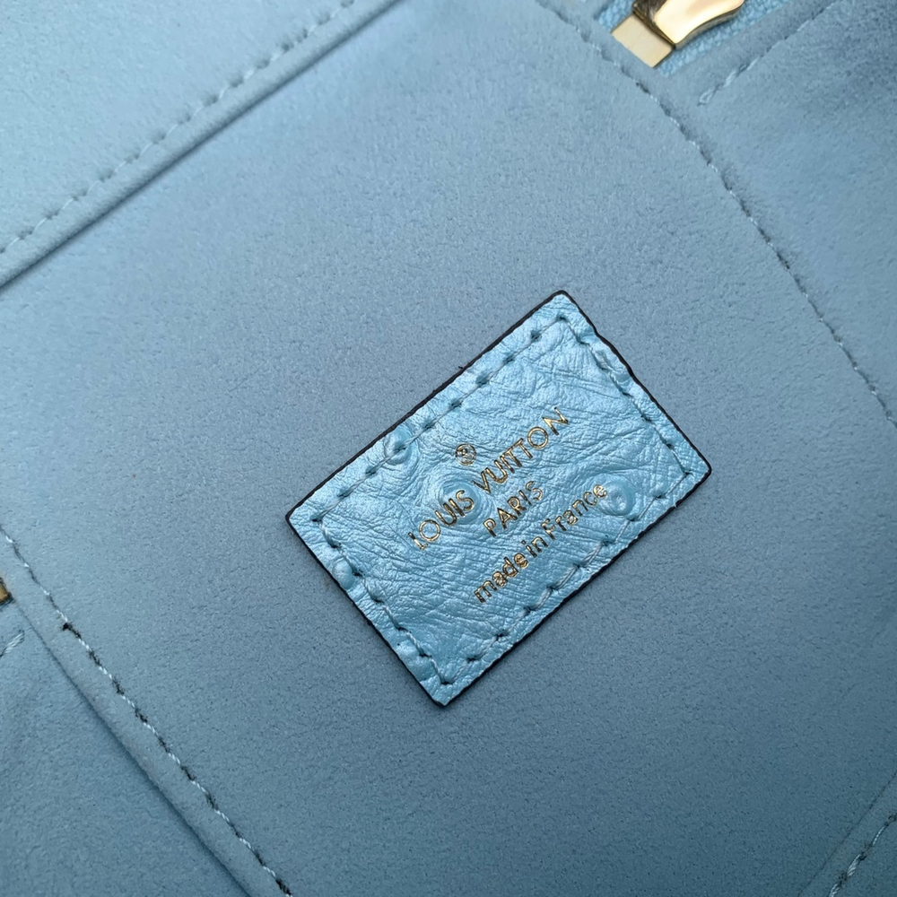 Louis Vuitton Vanity Chain Pouch