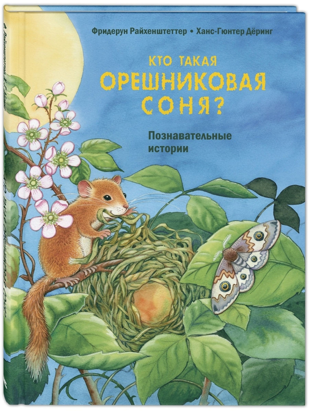 Кто такая орешниковая соня? Познавательные истории