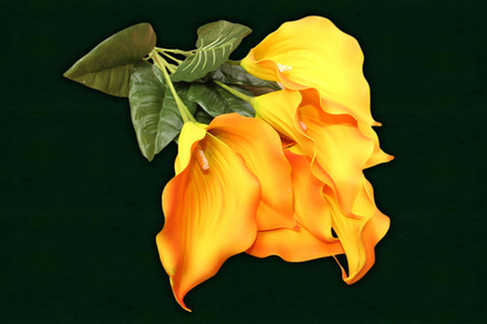 Букет калл латекс 7 голов