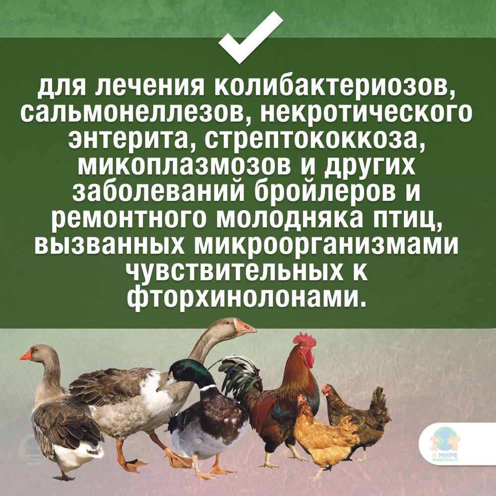 Энрофлокс 10%, раствор для орального применения молодняку птиц и бройлерам, 1 л. Энрофлоксацин.