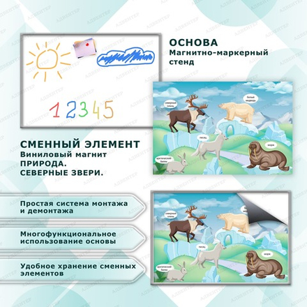 Комплект развивающий ПРИРОДА. СЕВЕРНЫЕ ЗВЕРИ. 2186