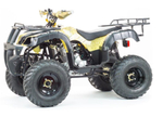 Квадроцикл MotoLand VOX250 ADVENTURE