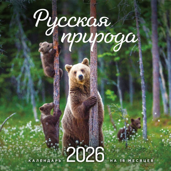Русская природа.Календарь настенный на 16 месяцев