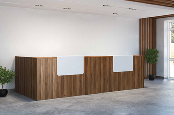 Ресепшен SALUTE (САЛЮТ)