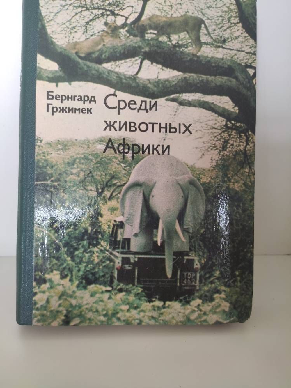 Среди животных Африки