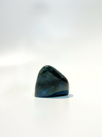 Срез Лабрадора S