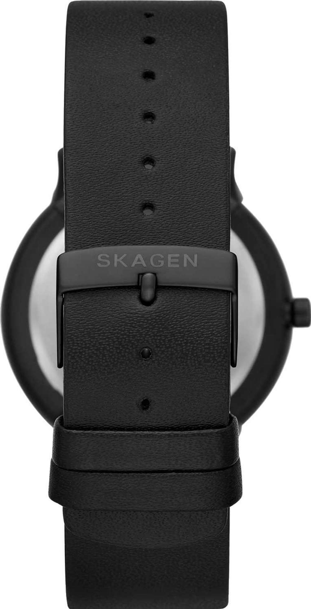 Мужские наручные часы Skagen SKW6623