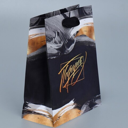 Пакет подарочный ламинированный вертикальный, упаковка, «Особенный подарок», S 12 х 15 х 5.5 см