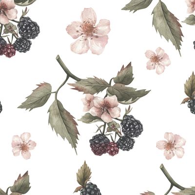 Ежевика на ветке