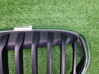 Решетка радиатора BMW X1 F48 (2019-2022)