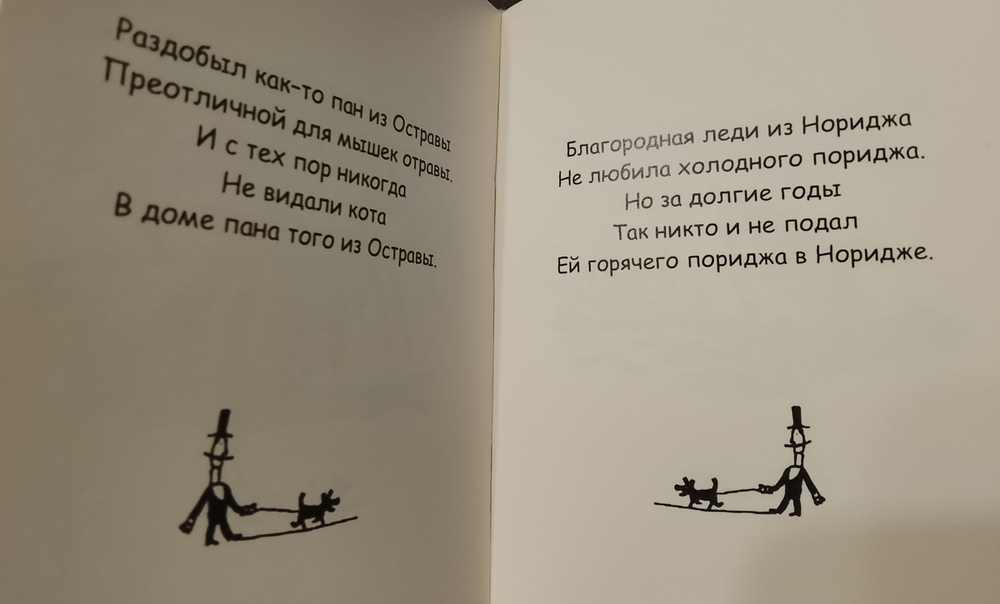 В доме лорда из Лимерика. Лариса Морозова. Карманный формат